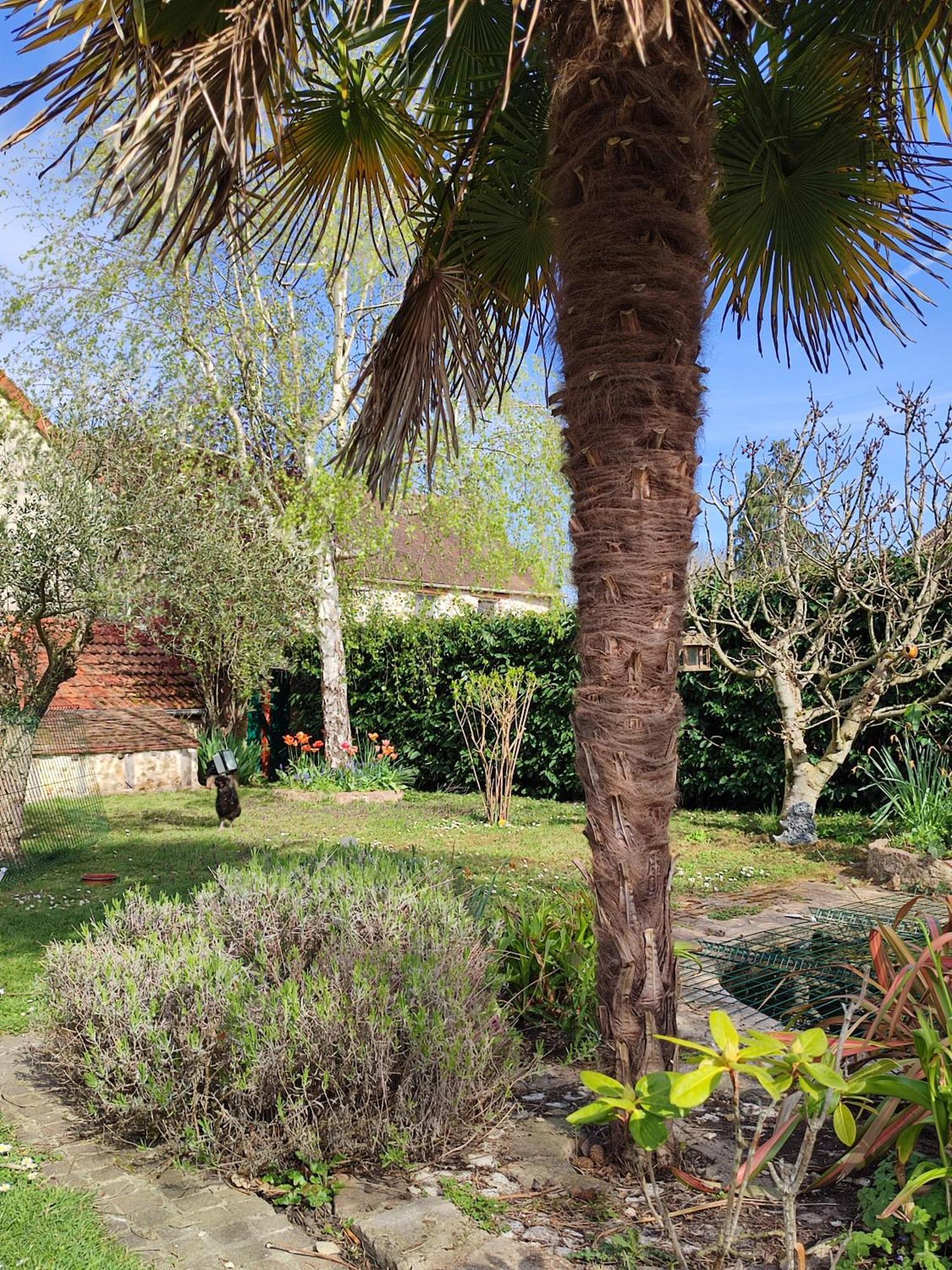 Maison D'Hotes La Source Panzió Magny-les-Hameaux Kültér fotó